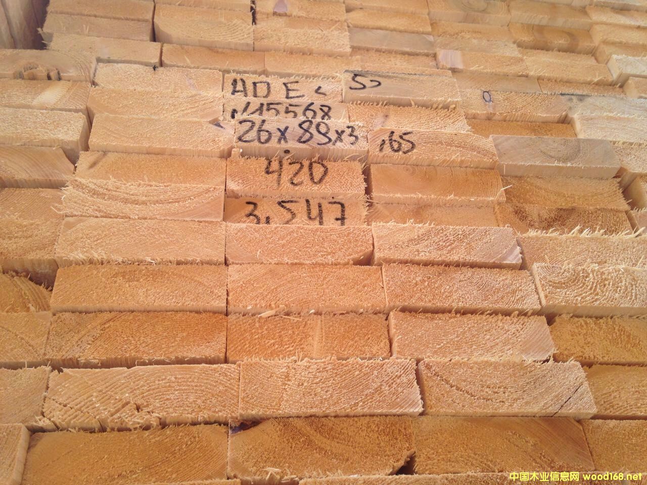 ���ڶ���˹���ɰ�ģ�һ�ֻ�Դ