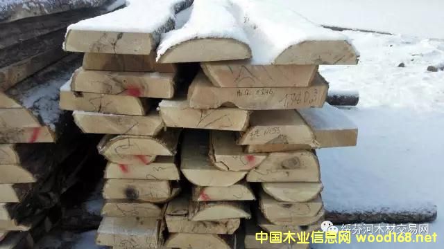 ����鿴�ľǦ�ʰ����ϸ����