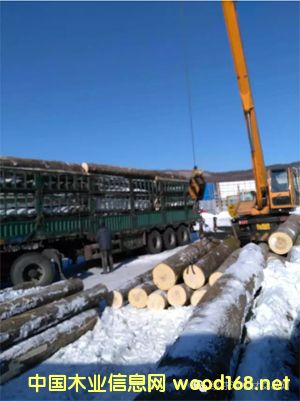 ����鿴��ľԭľ����ϸ����