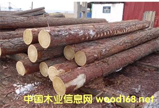 ����鿴��Ҷ��ԭľ����ϸ����