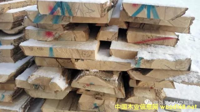 ����鿴�ľǦ�ʰ����ϸ����