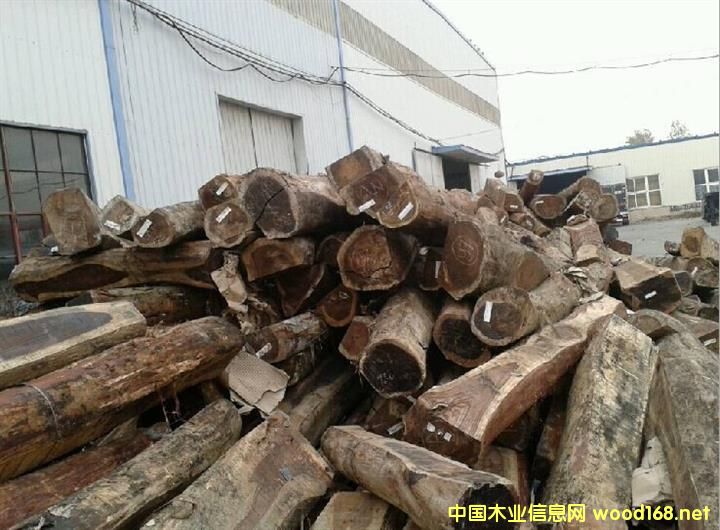 ����鿴����ľ�Ŵ�ͼƬ