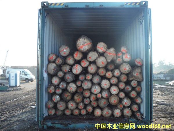 ŷ����ɼԭľ