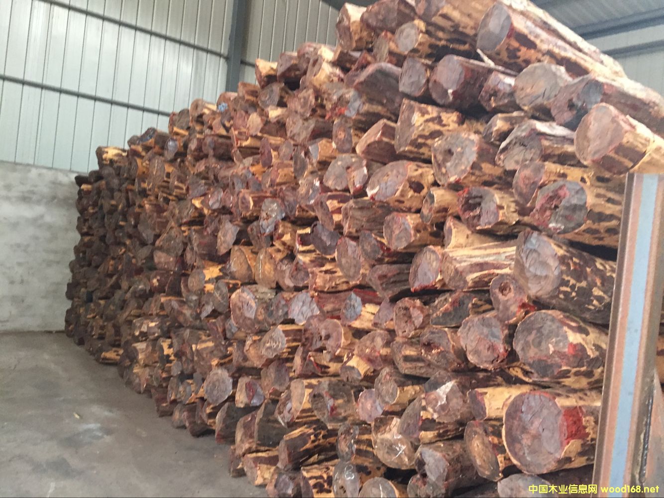 血檀的详细介绍