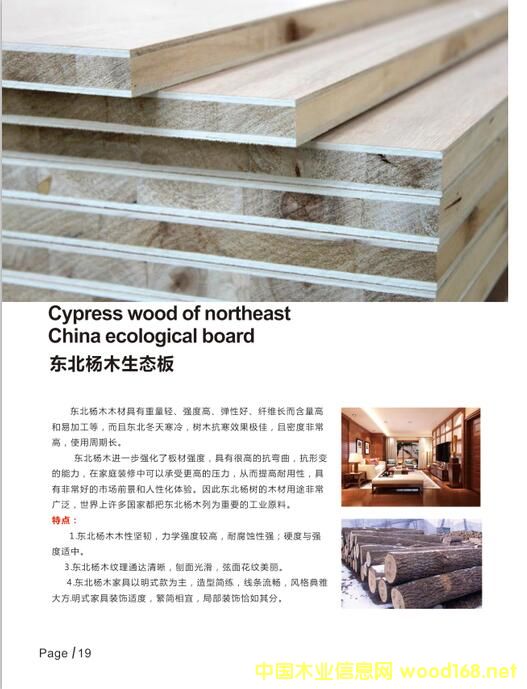 ɽ������ɭ������̬��