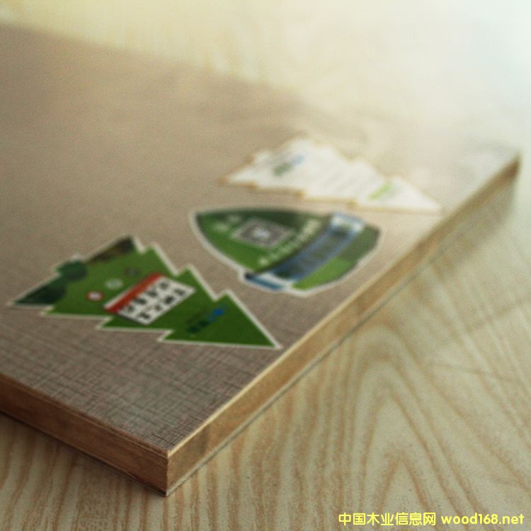 小布格的详细介绍