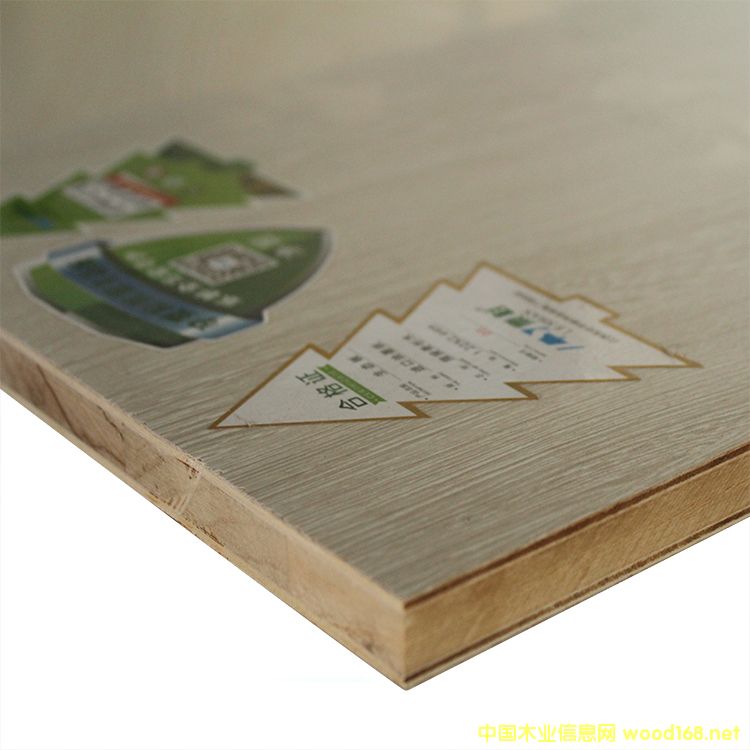 灰鸡翅的详细介绍