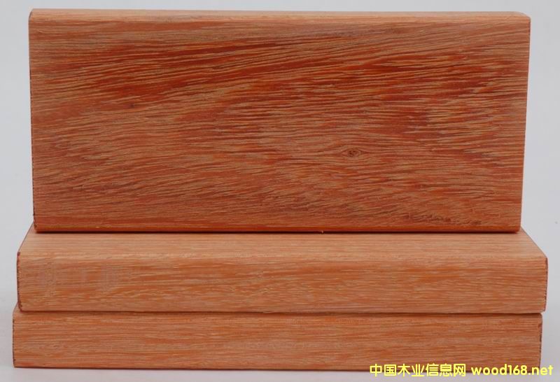 门格的详细介绍