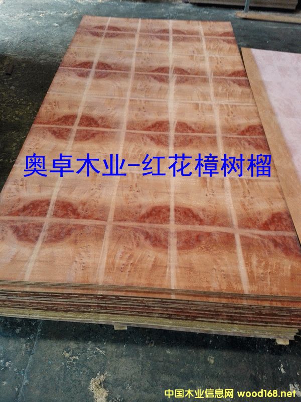 �컨�����������