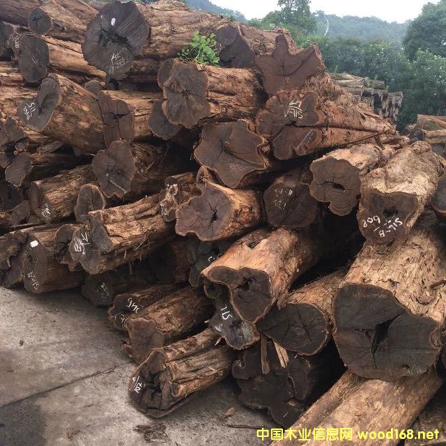 紫光檀价格,最新木材市场价格和走势-中国木业