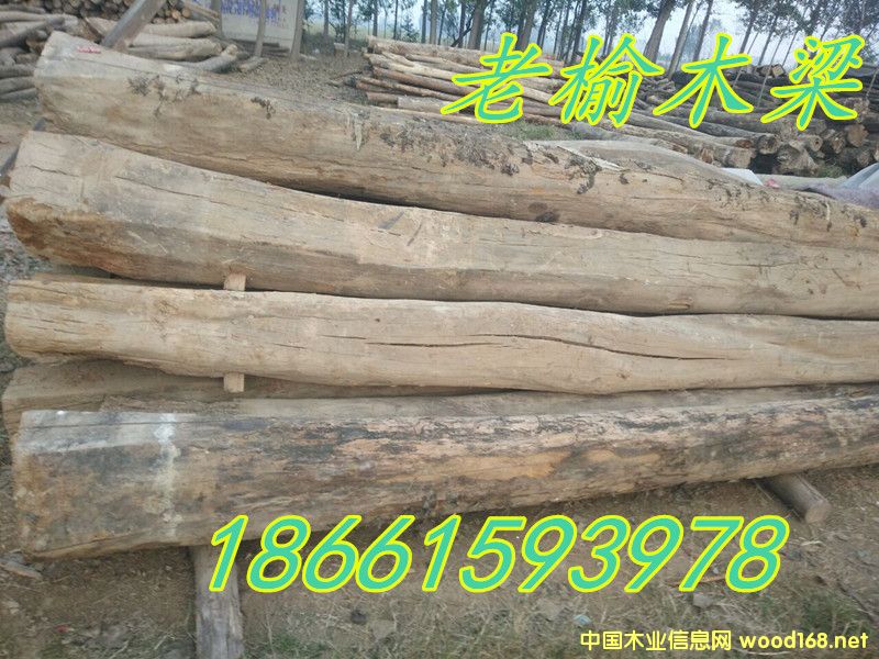 [] ӦľľŰ壬ľŰ壬۩ľ