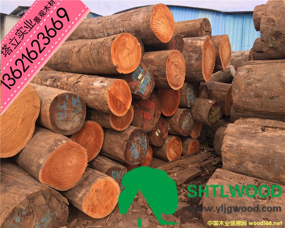 ľľ񡢰͵ľľľҡľ