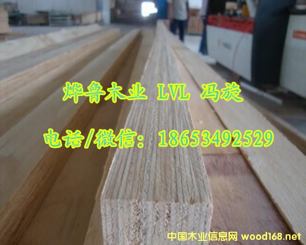 鿴Ѭľ ľѬ LVLľŴͼƬ