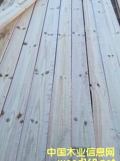 زСɾ20T߰壨ԭľУ