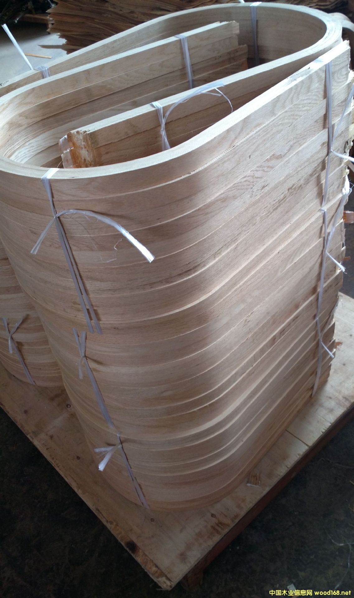 ˹աΰרûȩ֬ȩȩԼ