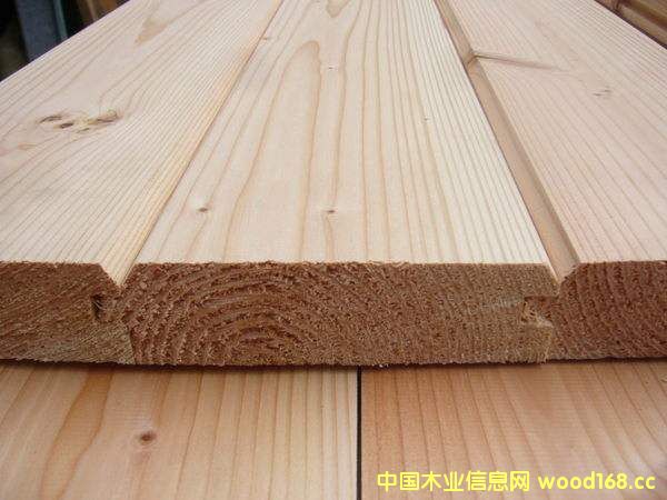 2016ľ̵㣺SPFߣɰʲ