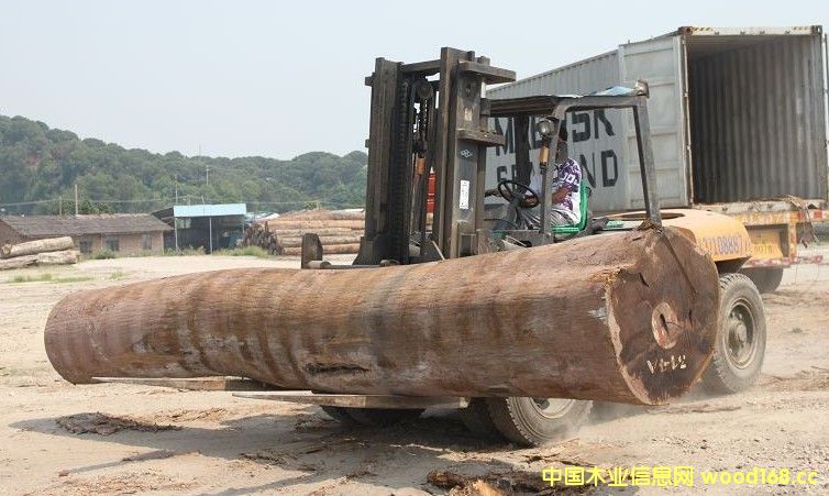 ����۽���ԭľ��������95%