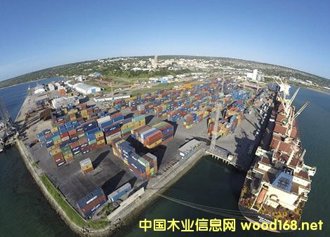 Īɣ�ȿ��ɿ������ٴβ��1200��Ƿ������й���ľ��