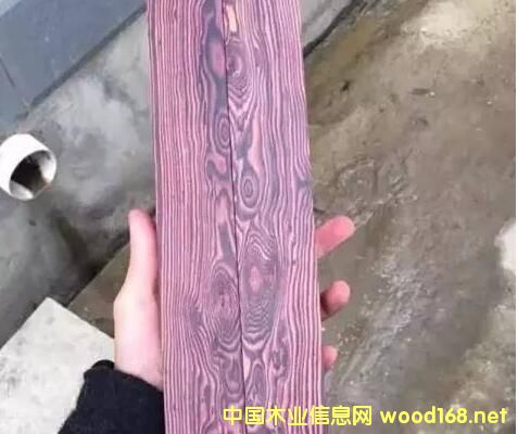 ݻ̴:һð亣ϻƻľ,ƶȴ90%