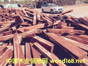 Ⱦ����̴��Ѫ̴)�г��۲죺���ҳ�Ϊ��̬