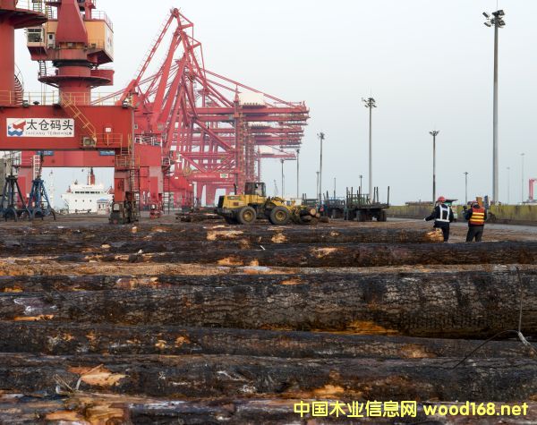 ̫�ָ۽���ľ��