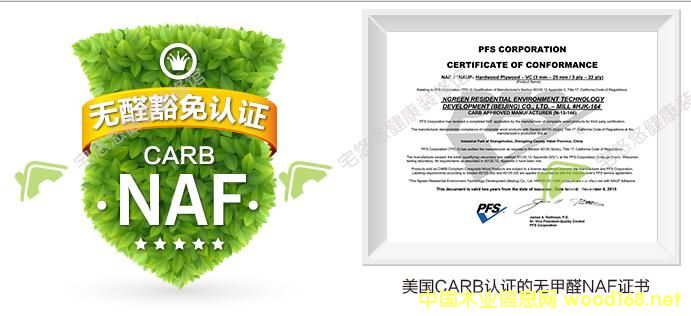 ߶˱׼֮---ȩӰģNAFĶ 