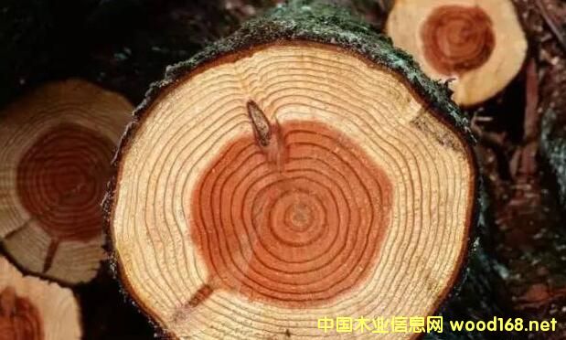 总投资72亿元 香港心联心集团打造重庆永川国际木业产业园