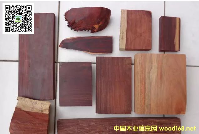 Ѫ̴��������ı�Ե