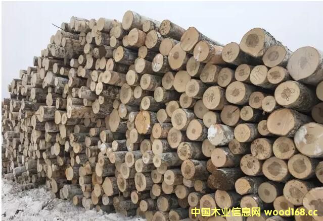 ˹ľֹڣйľӹҵȥδӣ