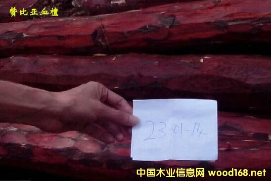 ��ȷ�����Ѫ̴��δ��������ô����