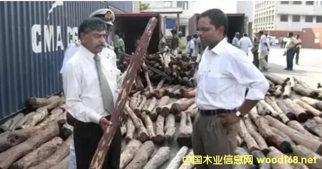 һǧ̴ּ˽̵СҶ̴˽