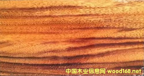 ��ľ����ģ�Ǳ����ľ���г��ڵĴ�����ٶ�