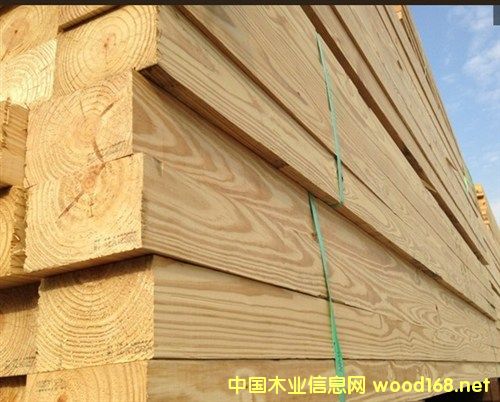 ����ľ���г��۲죺�Ϸ��ɳ������ɱ��ֽϺ���ͷ