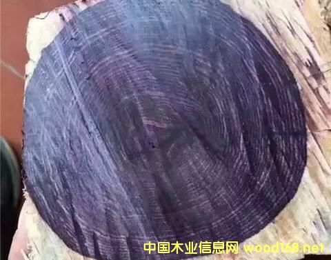 ݻ̴:һð亣ϻƻľ,ƶȴ90%