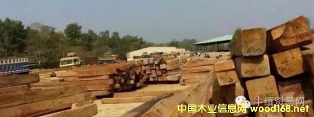 ���ľ��ҵֹͣľ�Ŀ���������