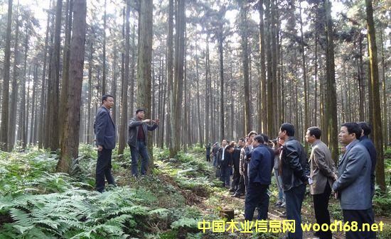 ľ��ս�Դ����������