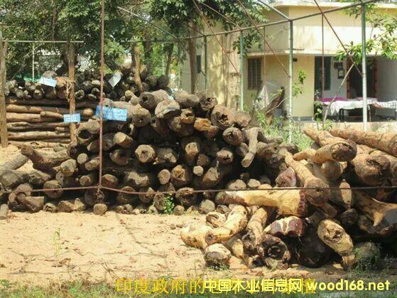 ӡ��СҶ��̴��˽�Ļ���·���������