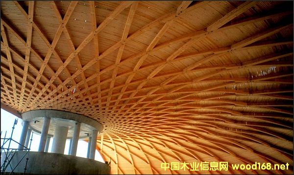 ����ľ�ṹ��������Ϊ����ǧ�ڼ����������г�