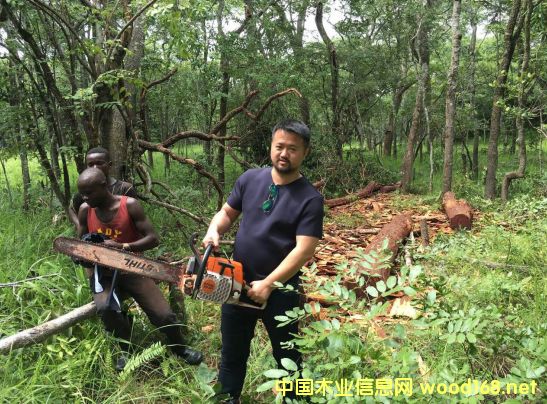 ����̩ľҵ����Σ�����Ⱦ����̴����Ѱ��·