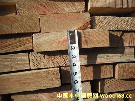 ˹¬ߵ жæڰĽڴ