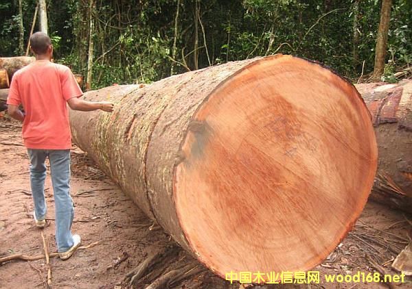 ɳ���������ѽ��������ʽ� �̱�ɣ�۸���