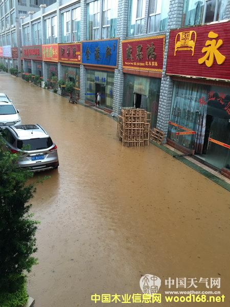 ƾ����ɽ��ľ���ܱ���Ϯ������