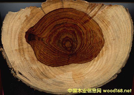 Խ�ϻƻ����ͷ������