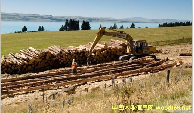 ������ľ��ӭ���Ի������»���