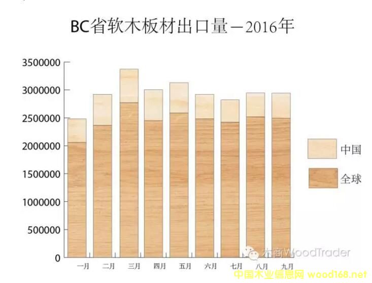 ôBCʡľĳڻ ¶Ի40%