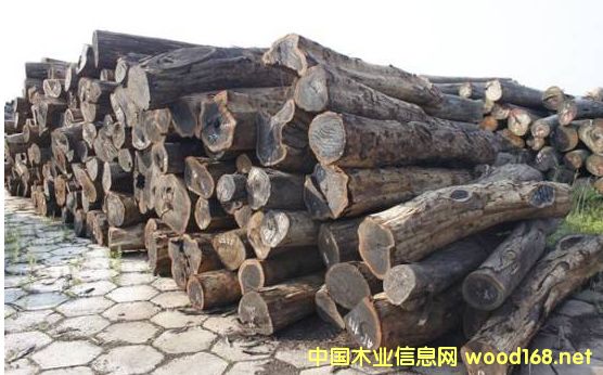 ����ʹ�����ͽ������������������ͨ��