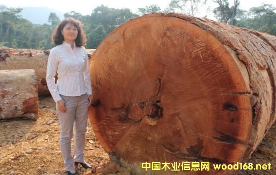 ������ľ�Ĳ�ҵ����ʡľ�ļӹ�ҵ���Ǳ��