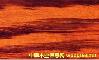 进口木材详解:斑纹漆木