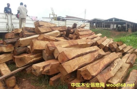 �������Ǵ����̴