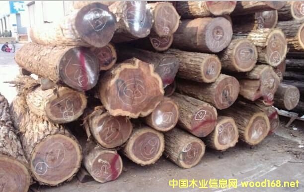 ľгȹ۲죺䶹֦۸նʷ